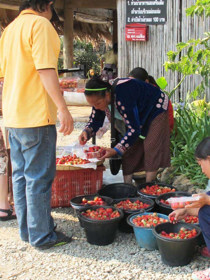 Hmong Lady at Mon Chaem Chiang Mai