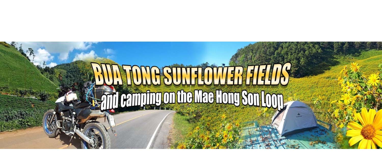 Bua Tong Sunflowers and camping on the Mae Hong Son Loop