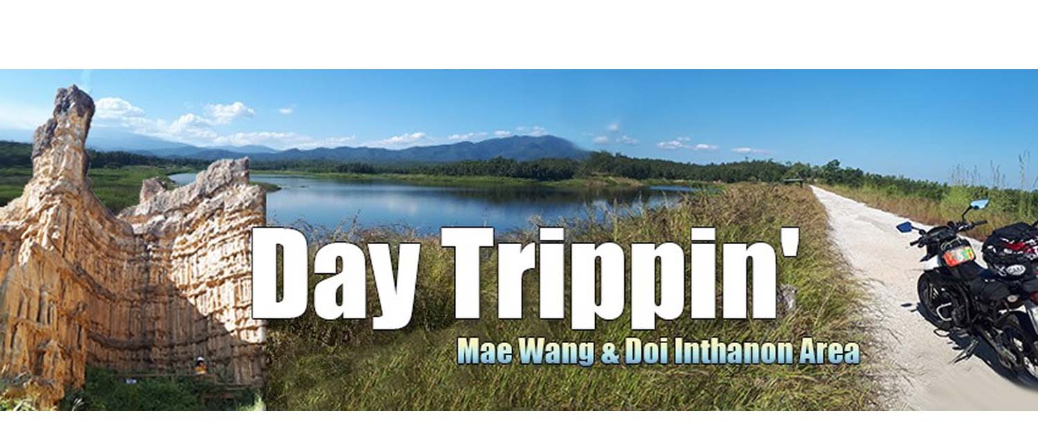 Day Trippin’ – Mae Wang…