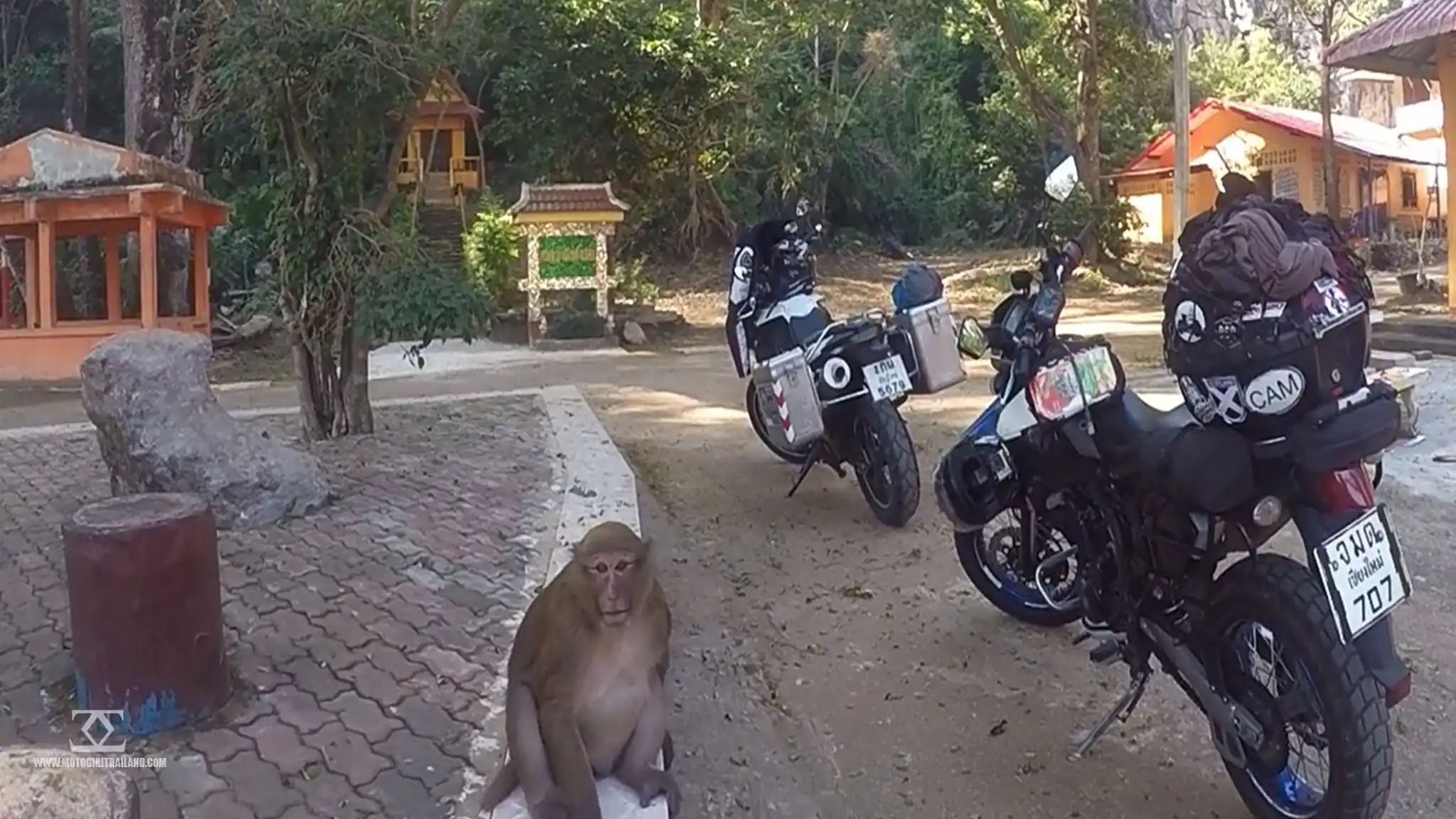 Tham Pla Monkey Temple Cave Chiang Rai