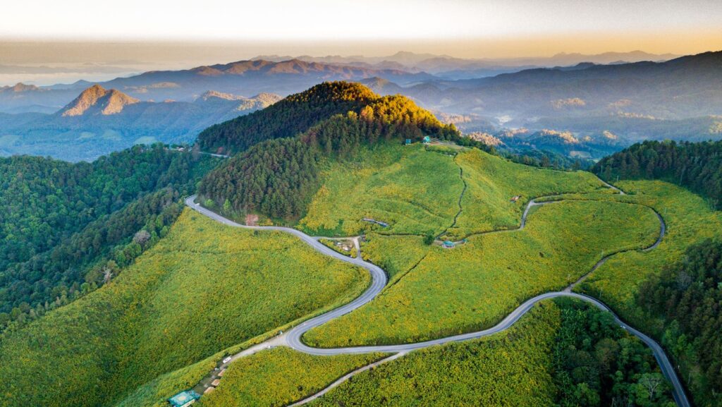 Aerial shot of Doi Mae U Kho Bua Tong Fields Khun Yuam Sunflowers Thailand