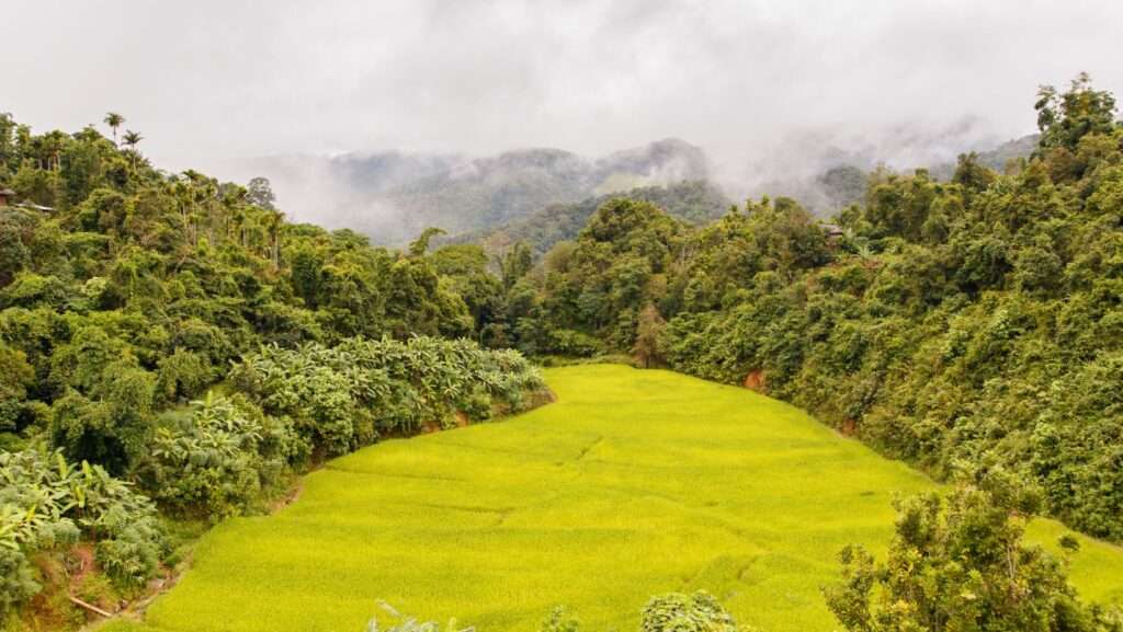 Mae La Noi Royal Project Ban Huai Hom Khun Yuam