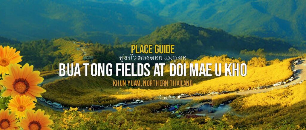 guide for the Bua Tong Sunflower Festival at Doi Mae U Kho in Khun Yuam, Northern Thailand - motogirlthailand