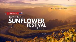 Bua Tong Sunflower Festival Guide