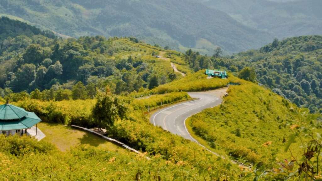 Bua Tong Viewpoint Sunflower Field Khun Yuam Doi Mae U Kho