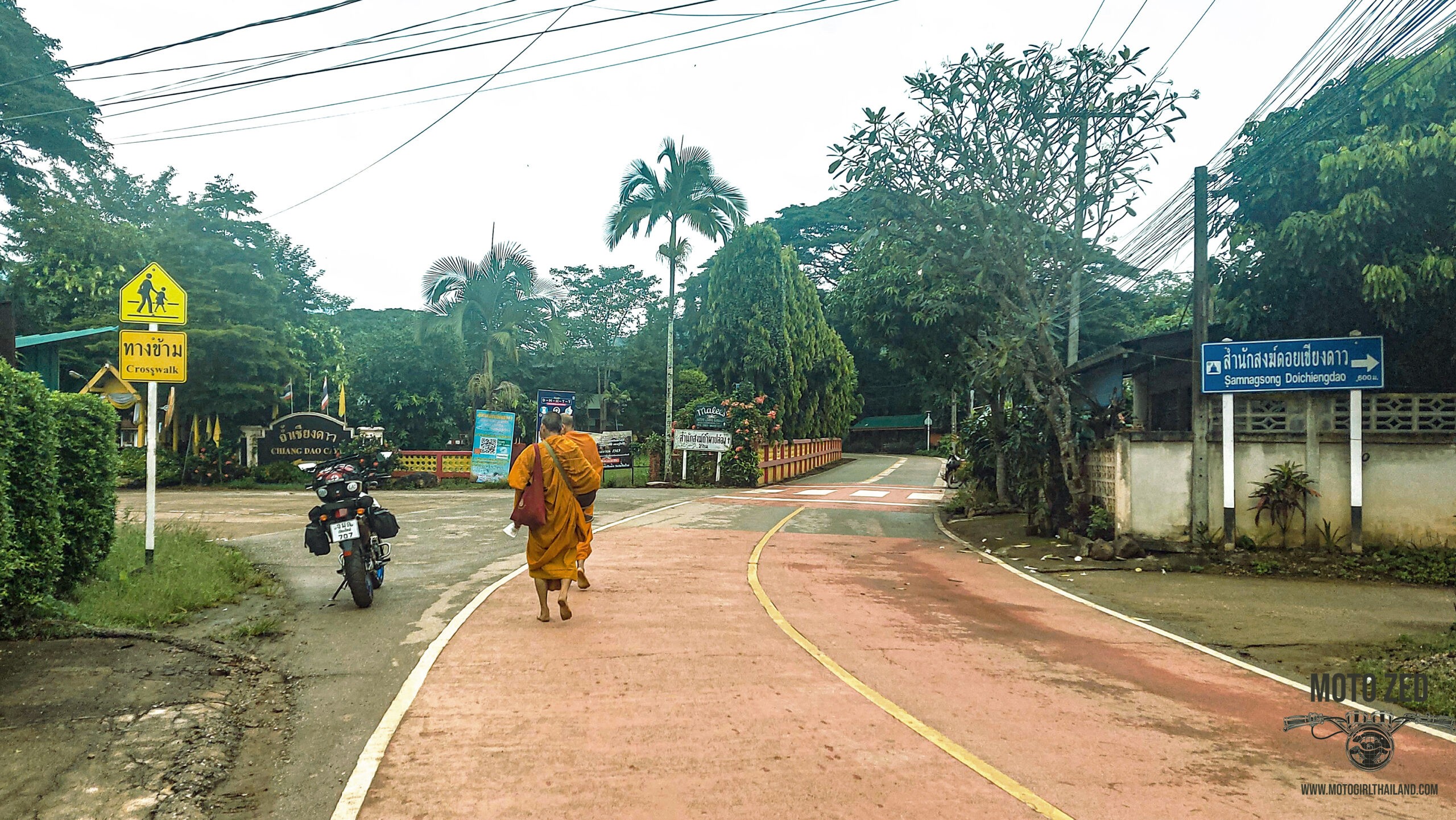 monks at chiang dao