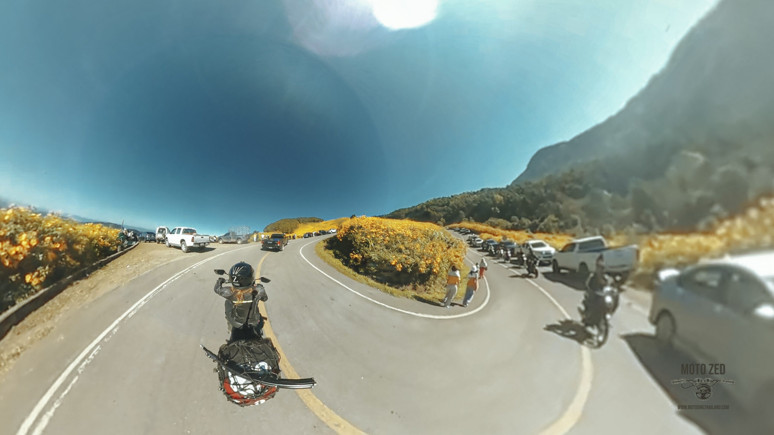 360 shot of cars and motorcycles driving through a road surrounded by yellow Mexican Sunflowers