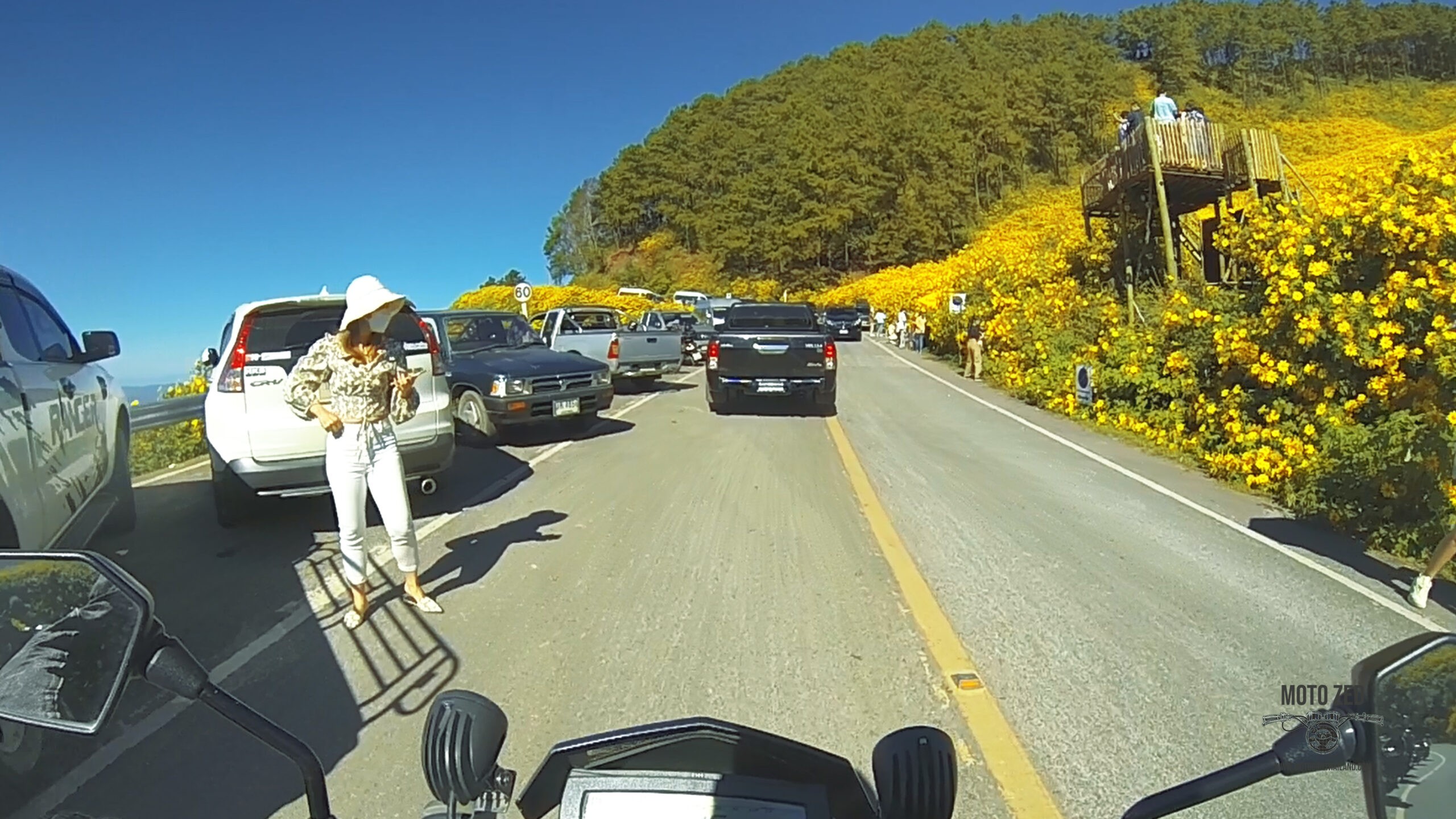 cars and motorcycles driving through a road surrounded by yellow Mexican Sunflowers