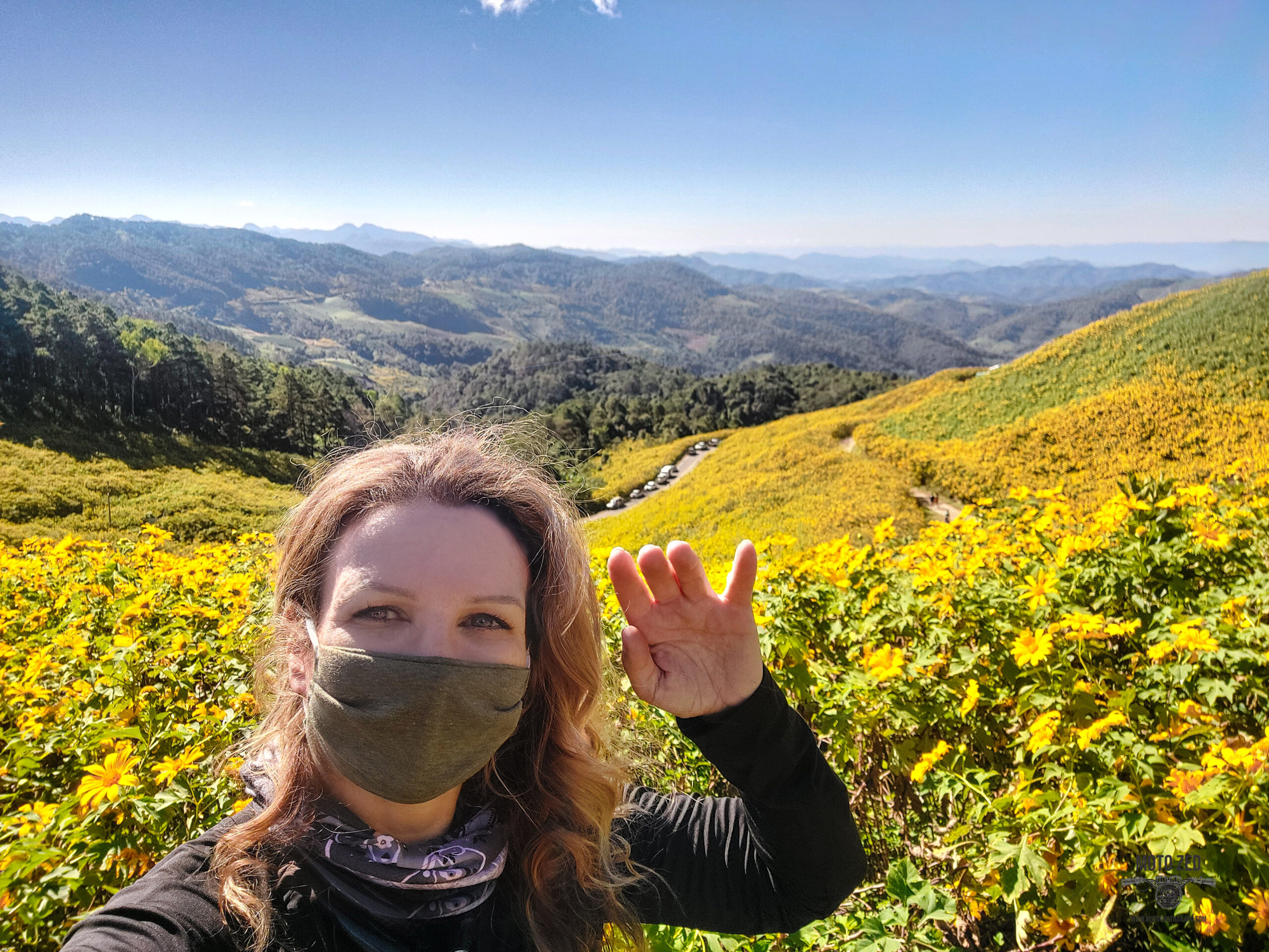 lady wearing a mask is standing in front of many sunflowers in a giant sea of yellow sunflowers with a mountain background.