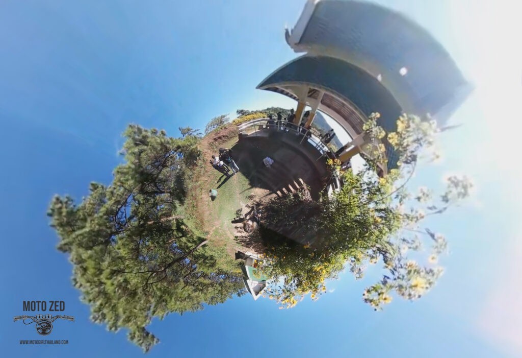 360 view of trees and a building