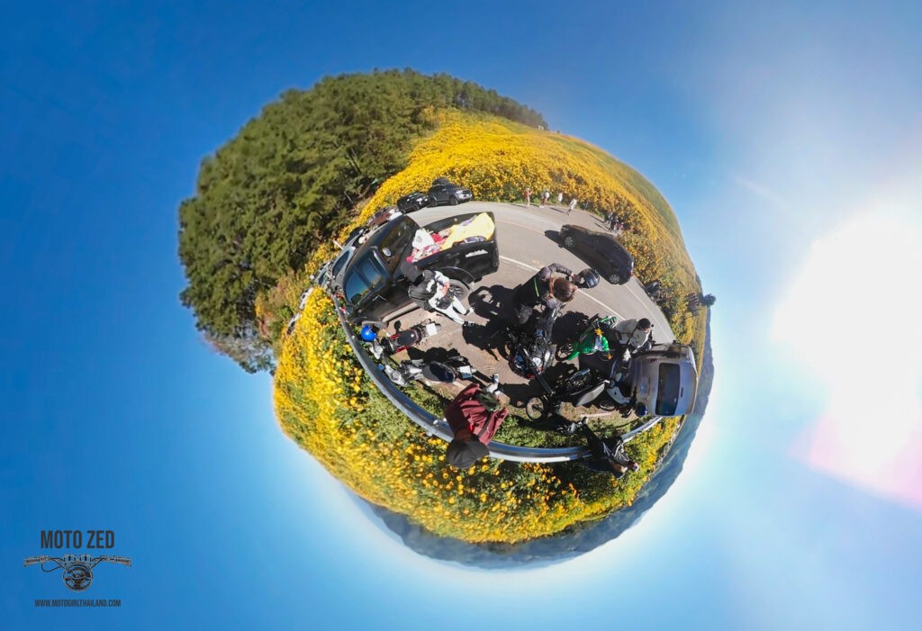 360 perspective of a motorcycle riding on a road surrounded by sunflower fields. Sunflowers Doi Mae U'Kho