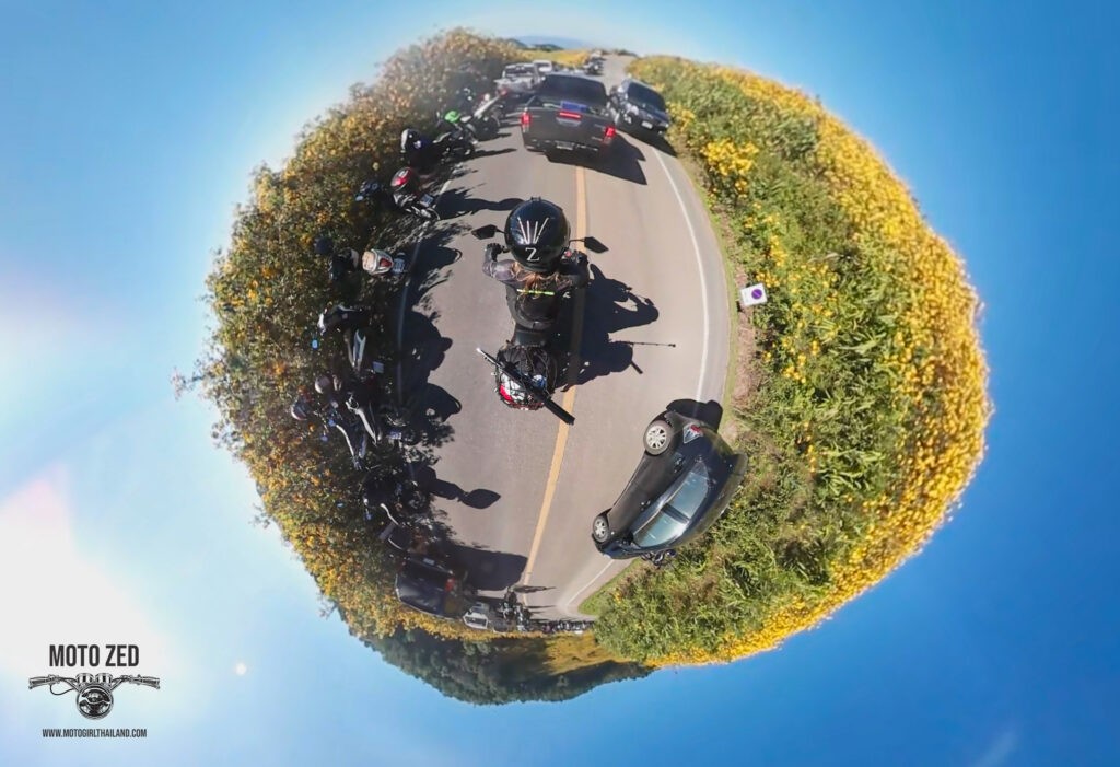 360 perspective of a motorcycle riding on a road surrounded by sunflower fields