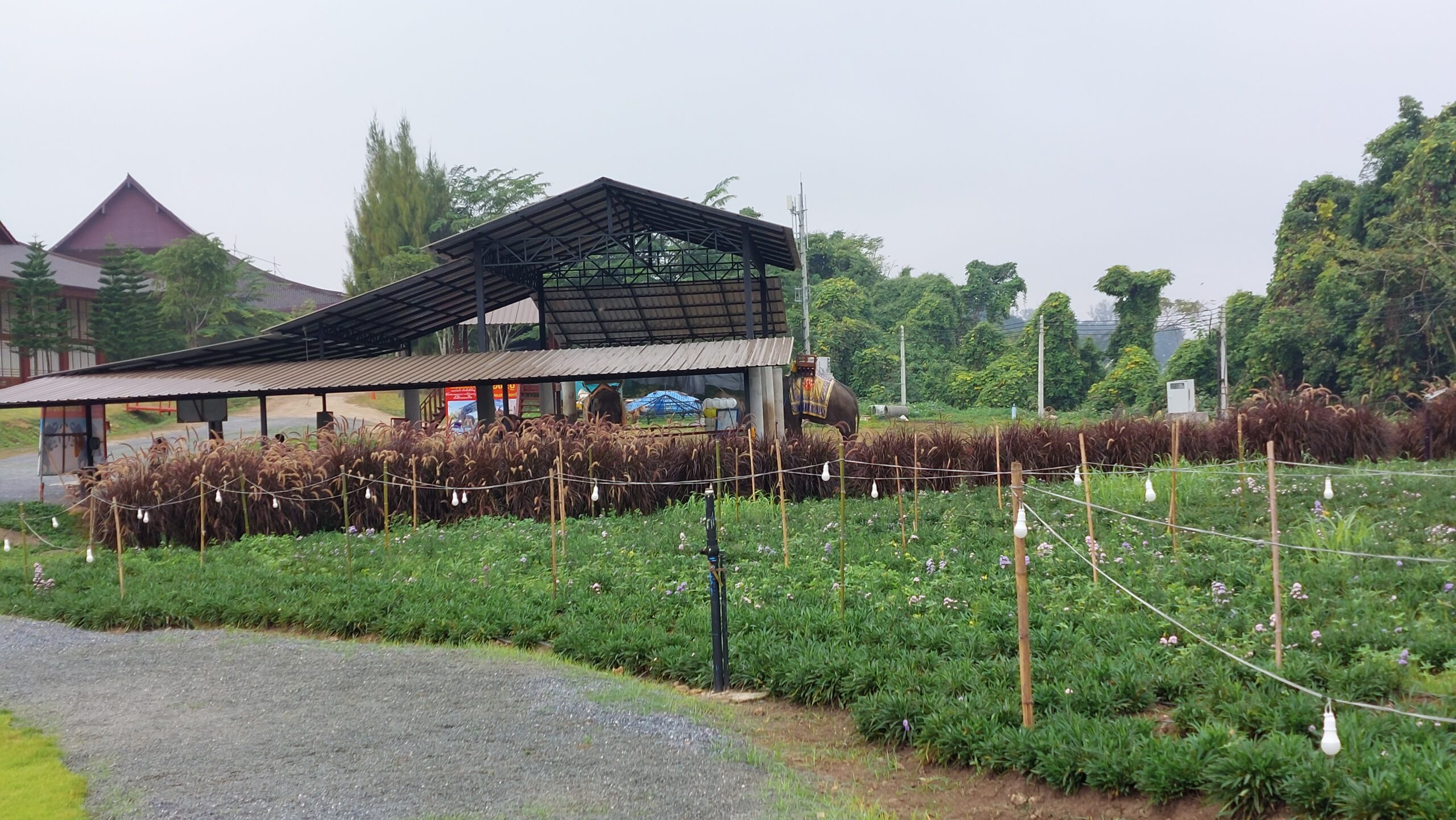 elephant attraction at hinoki land