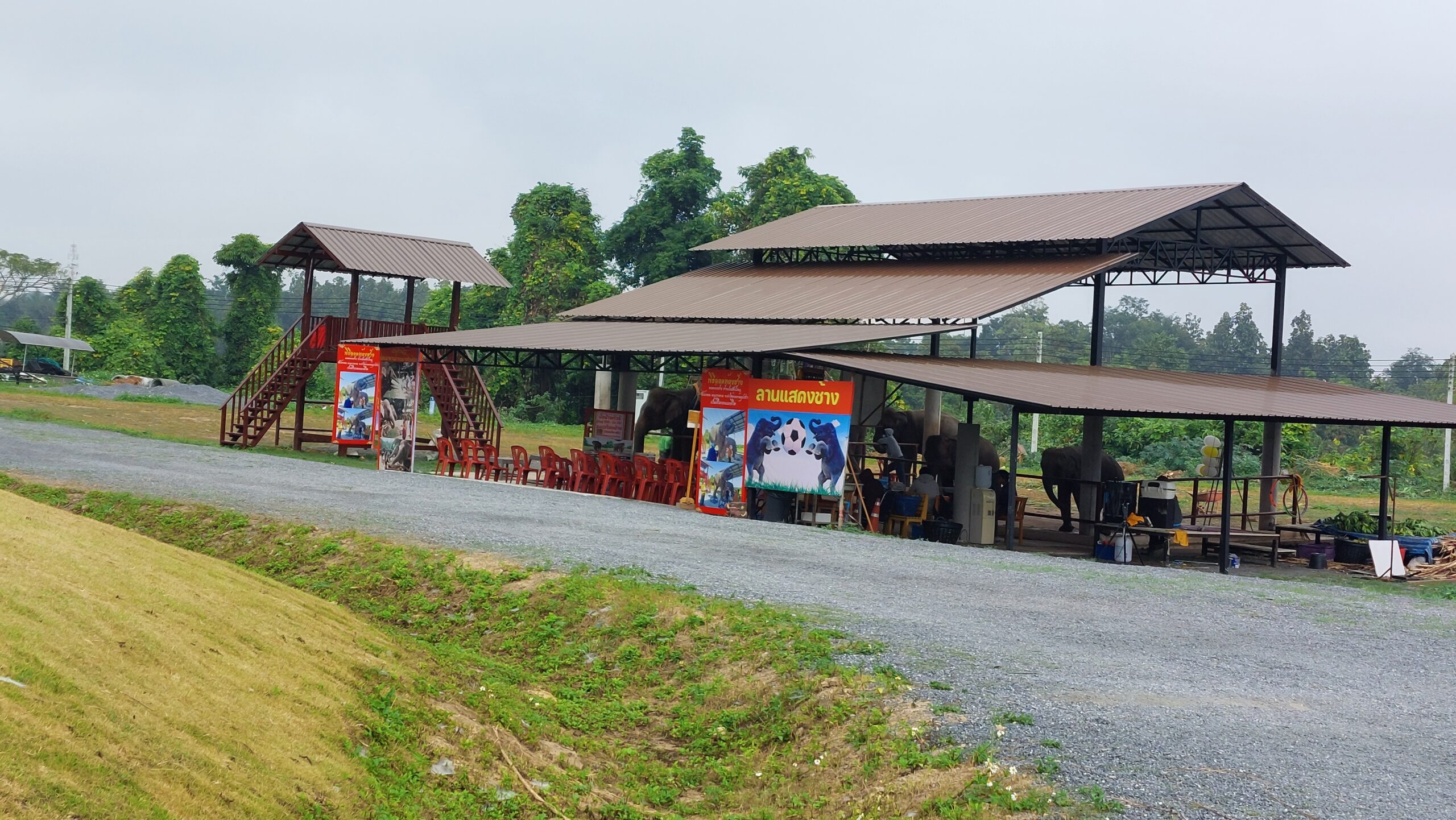 elephants at hinoki land