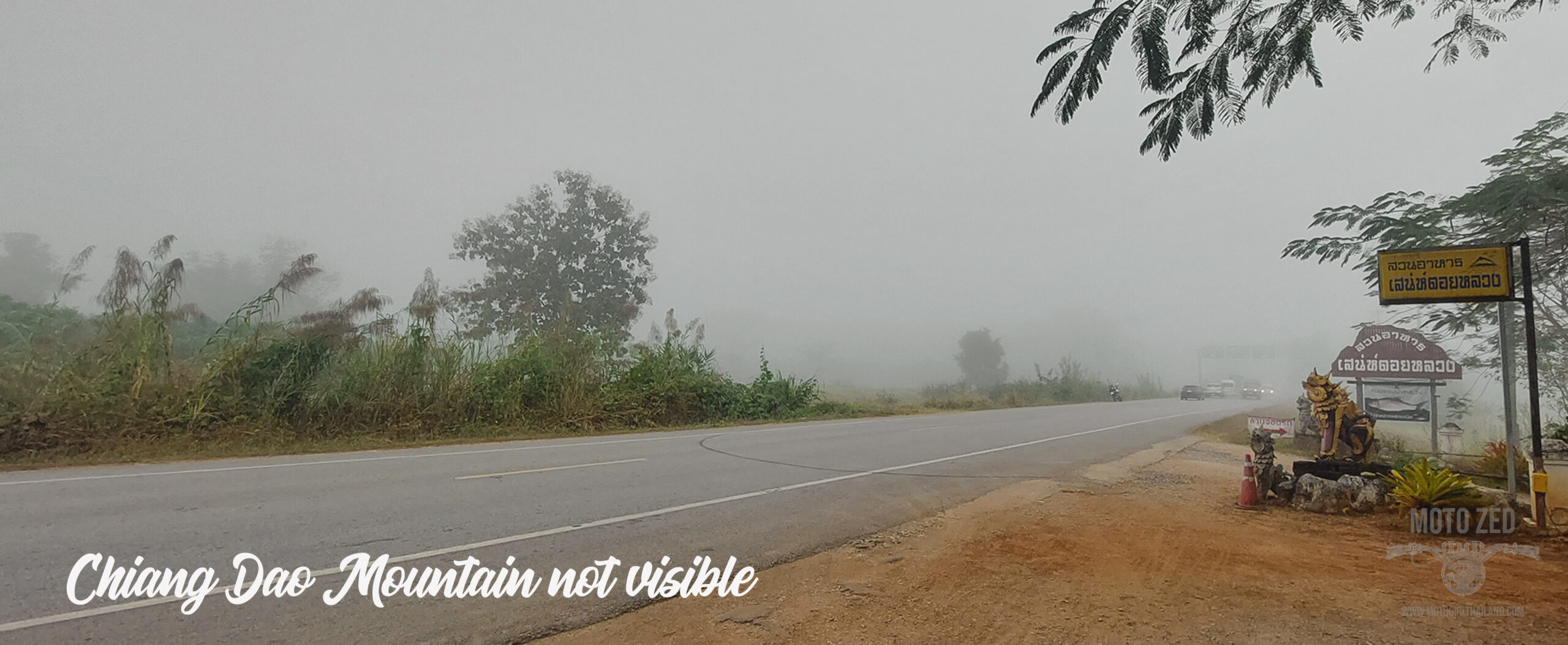 misty at chiang dao