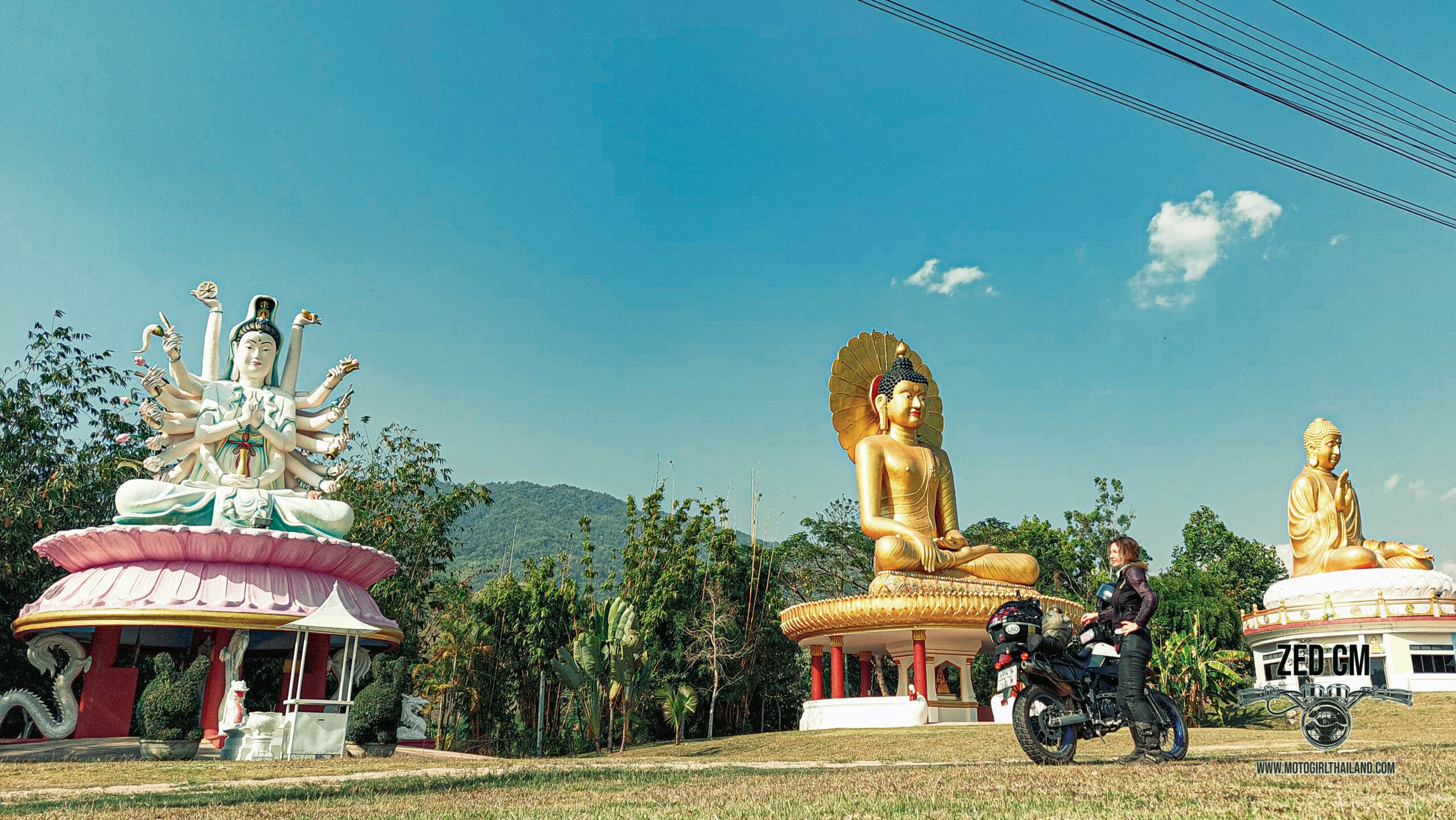 mae ai statues