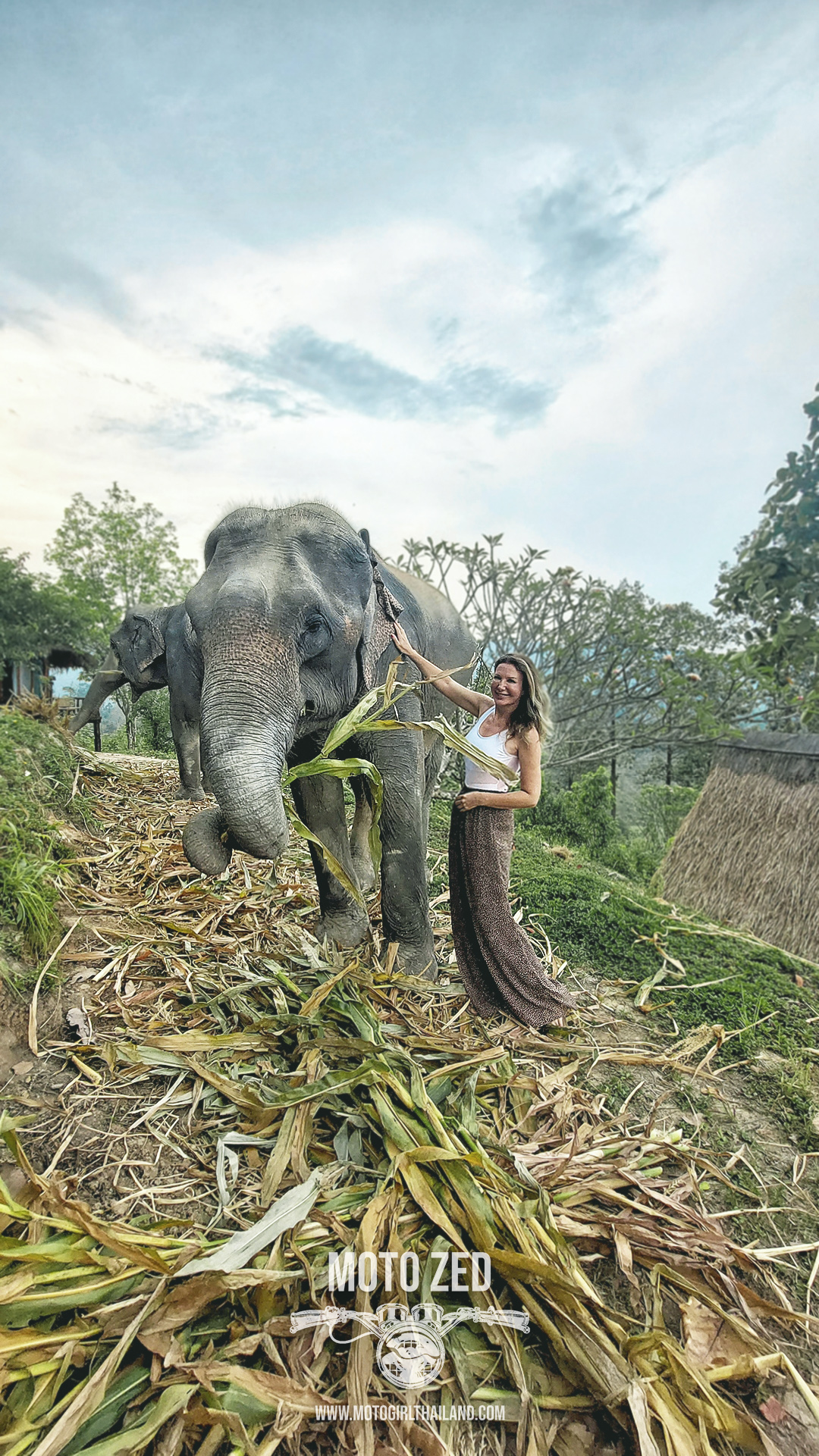 ethical elephant camp