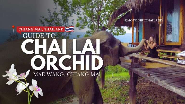 Chai Lai Orchid Elephants