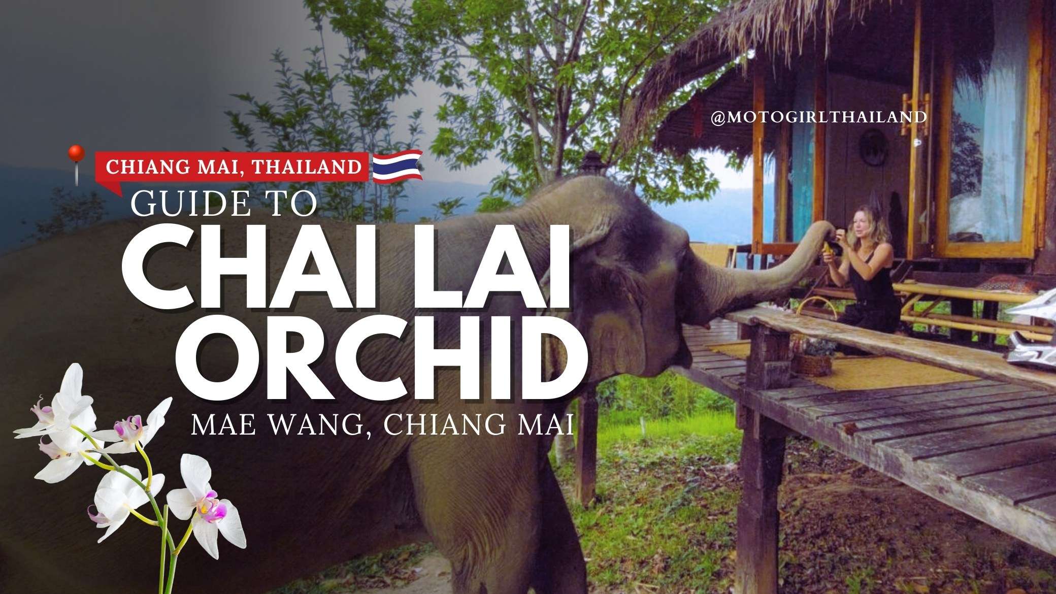 Chai Lai Orchid Elephants