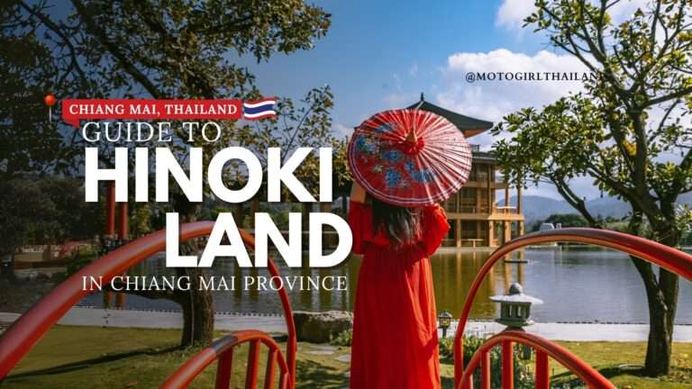 Hinoki Land Guide