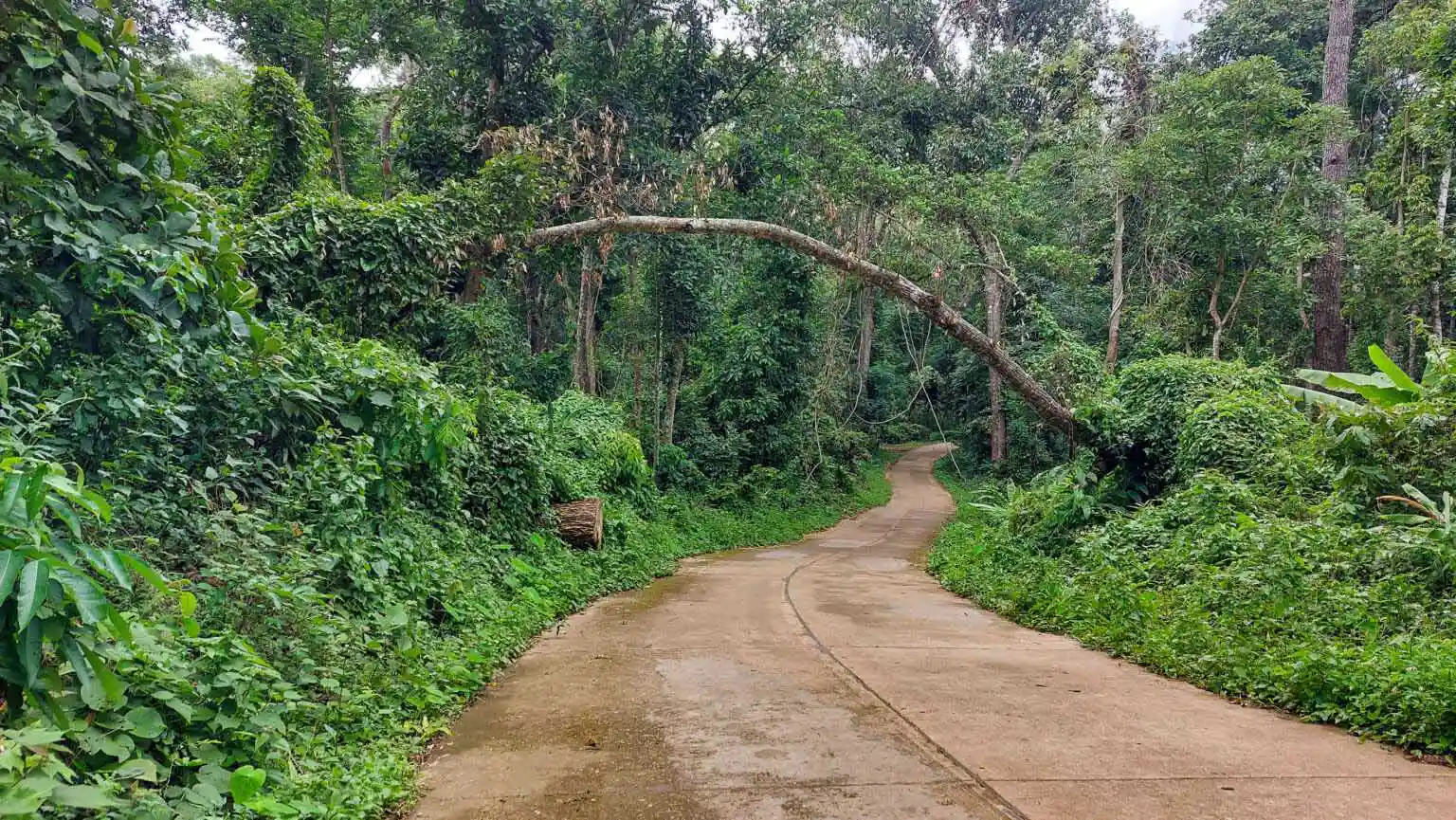 Hmong Hilltribe Chiang Mai