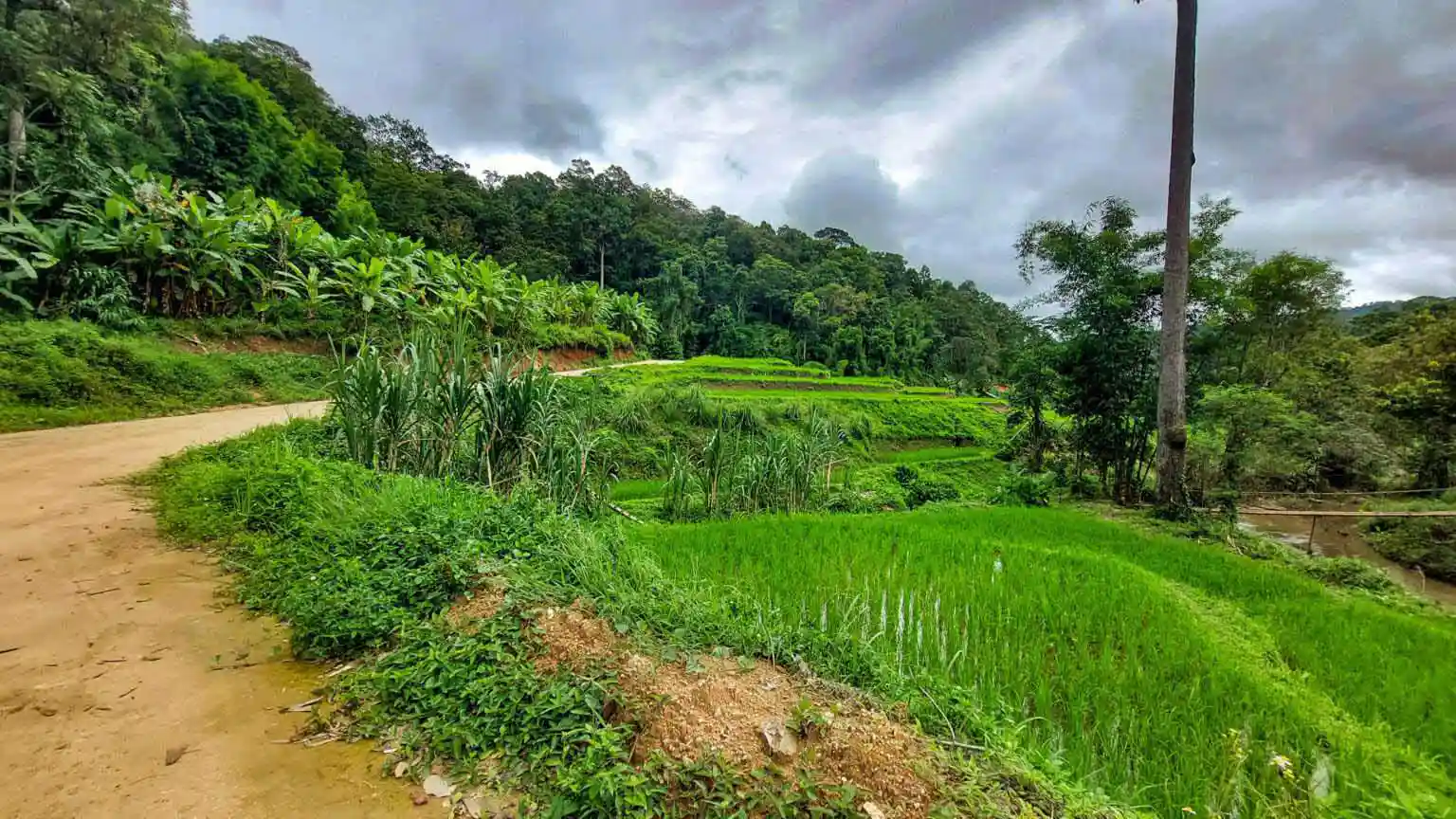 Hmong Hilltribe Chiang Mai
