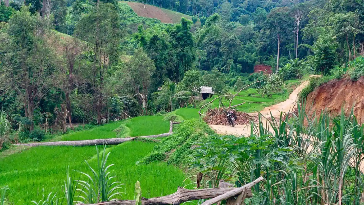 Hmong Hilltribe Chiang Mai