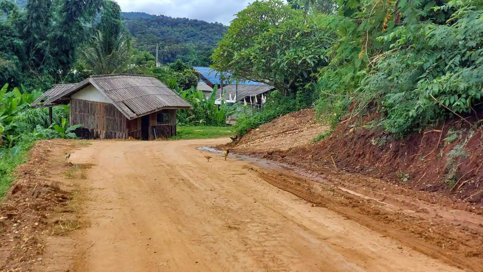 Hmong Hilltribe Chiang Mai