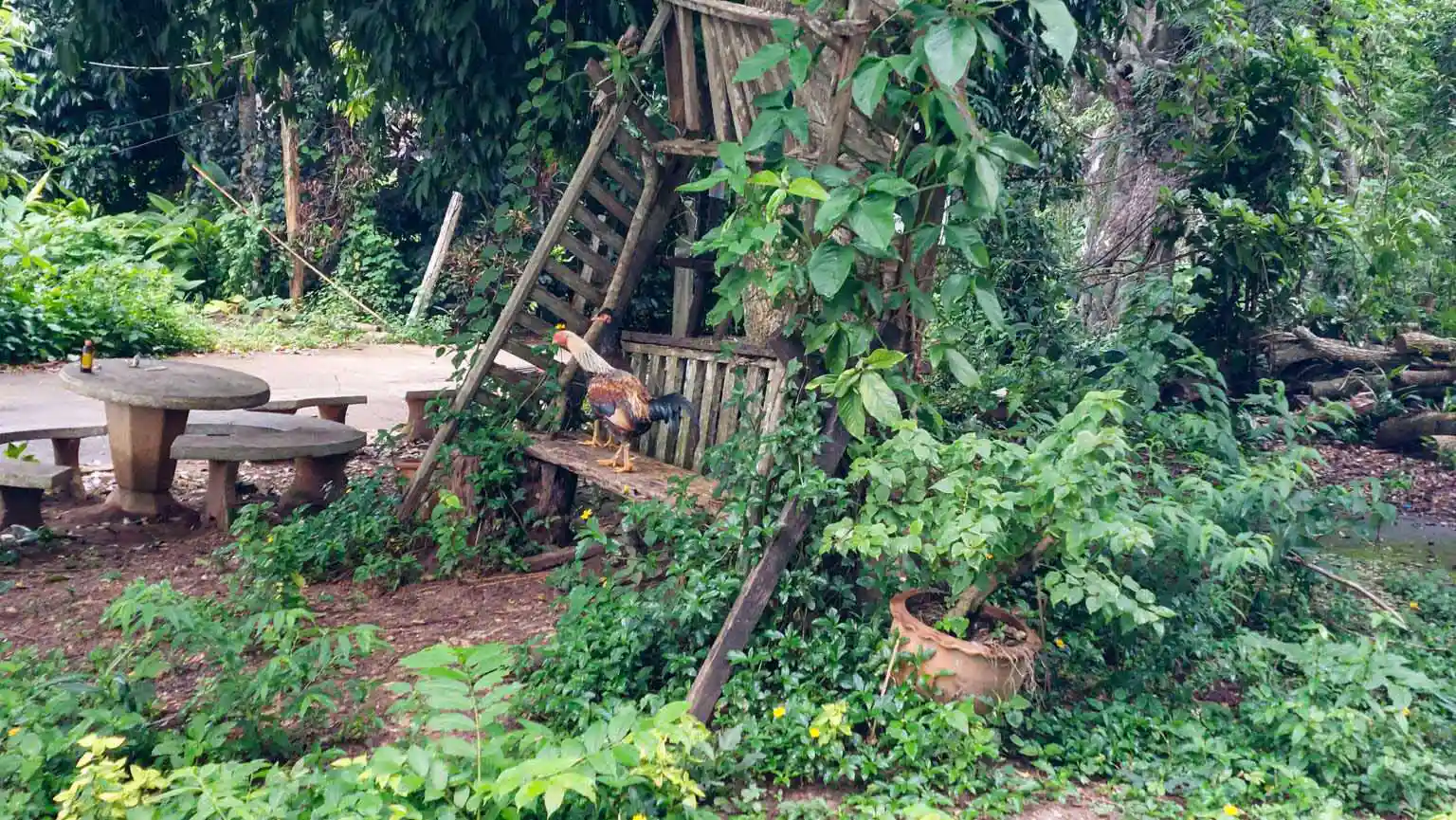Hmong Hilltribe Chiang Mai
