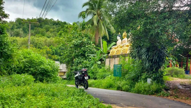 a motorcycle surrounded by jungle and Buddha statues - motogirlthailand