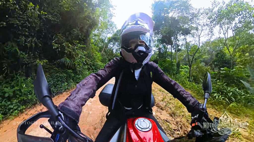 BMW 310GS Motorcycle