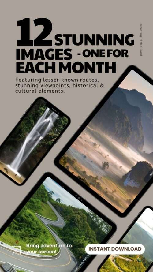 2026 Digital Wallpaper BUNDLE