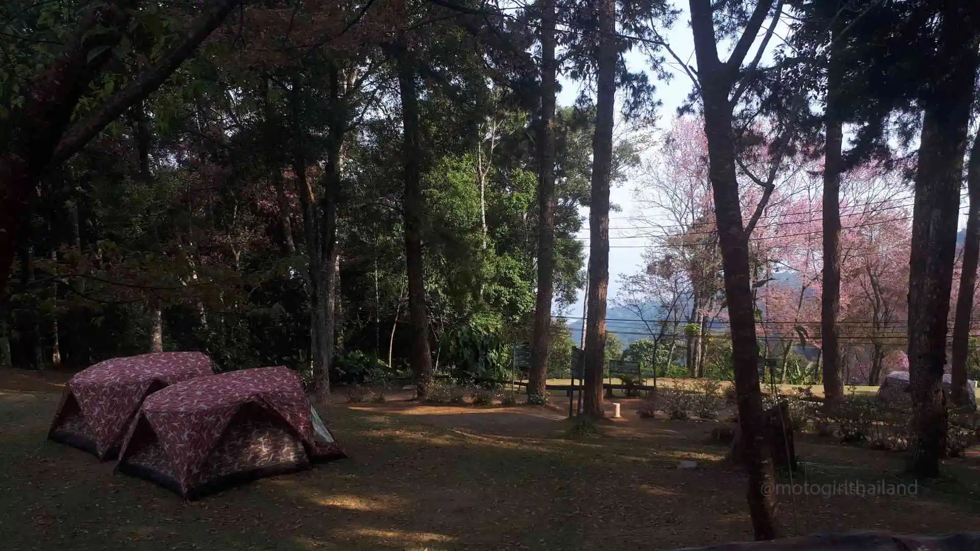 Hmong Hilltribe Chiang Mai