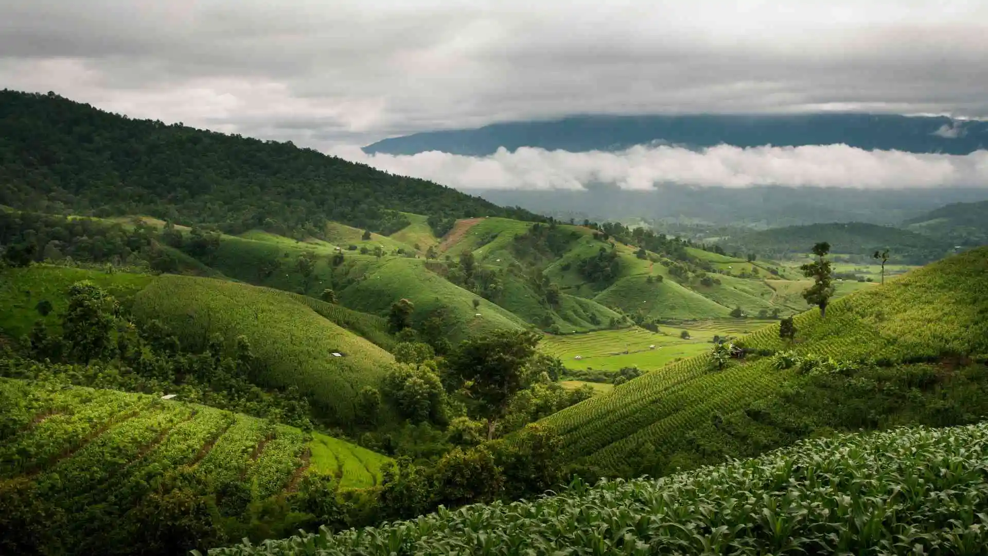 Hmong Hilltribe Chiang Mai