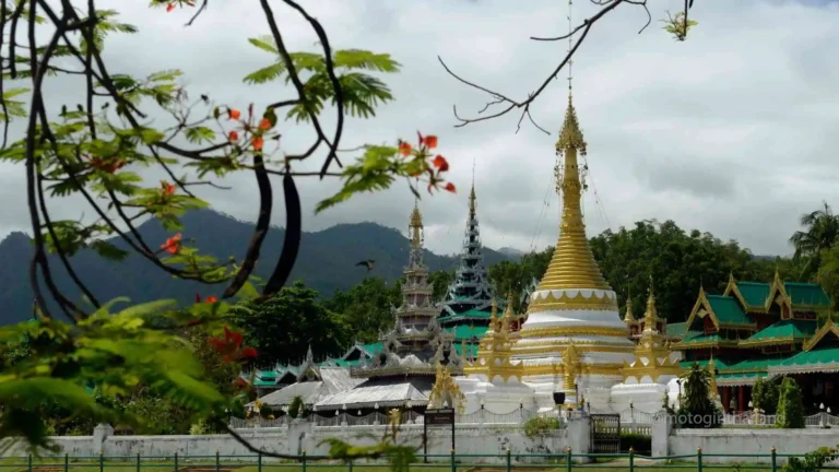 gold and white temple in a calm setting with plants and flowers