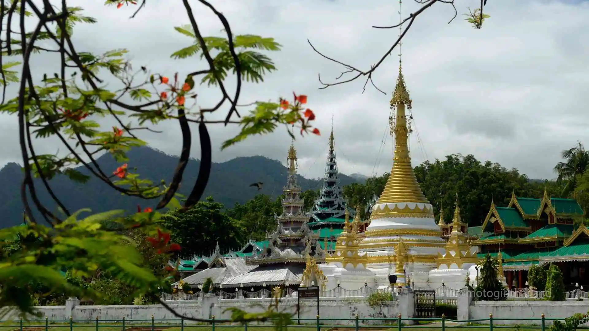 gold and white temple in a calm setting with plants and flowers