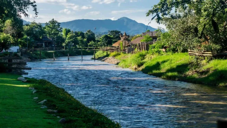 River with lush forestry. Pai river.