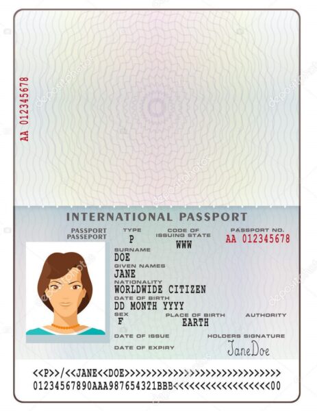 Passport Illustration