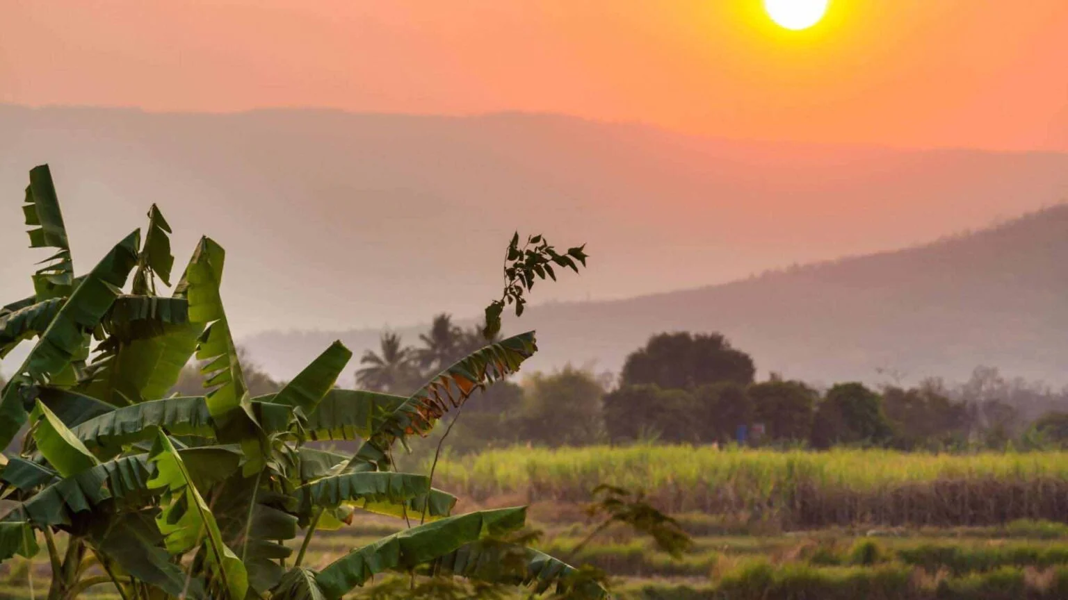 Hmong Hilltribe Chiang Mai