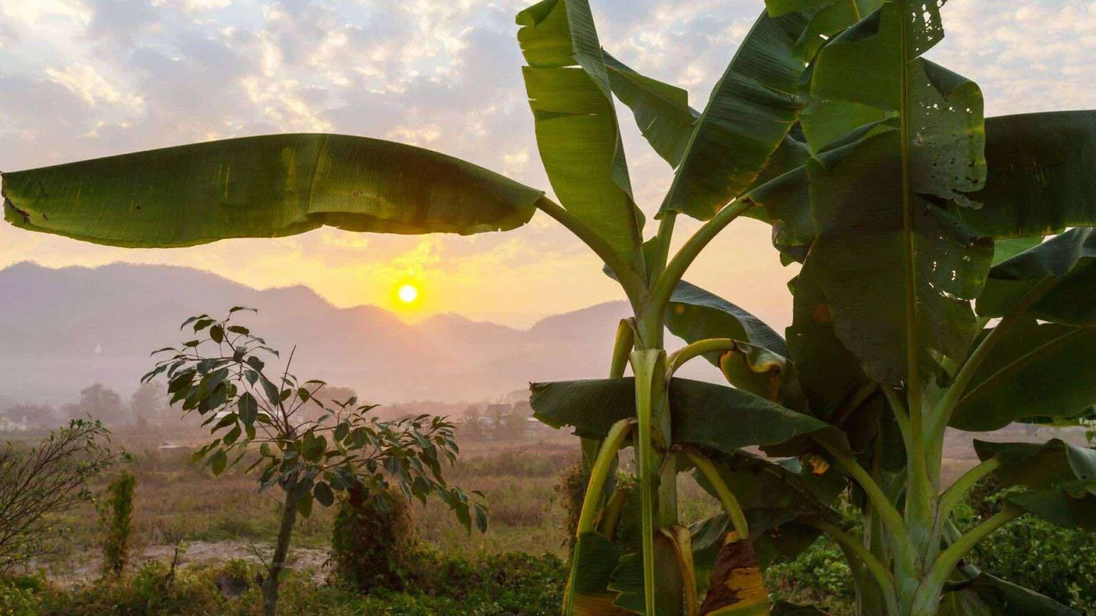 Hmong Hilltribe Chiang Mai