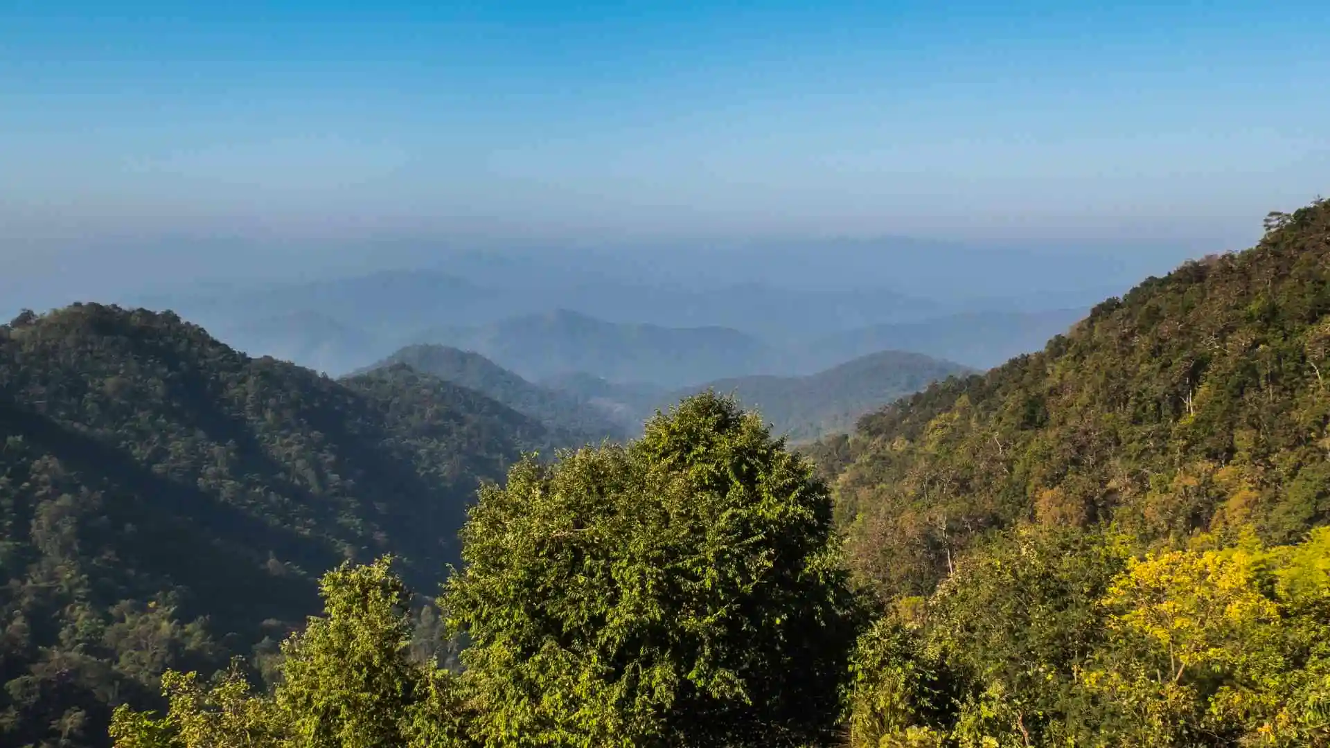 Hmong Hilltribe Chiang Mai