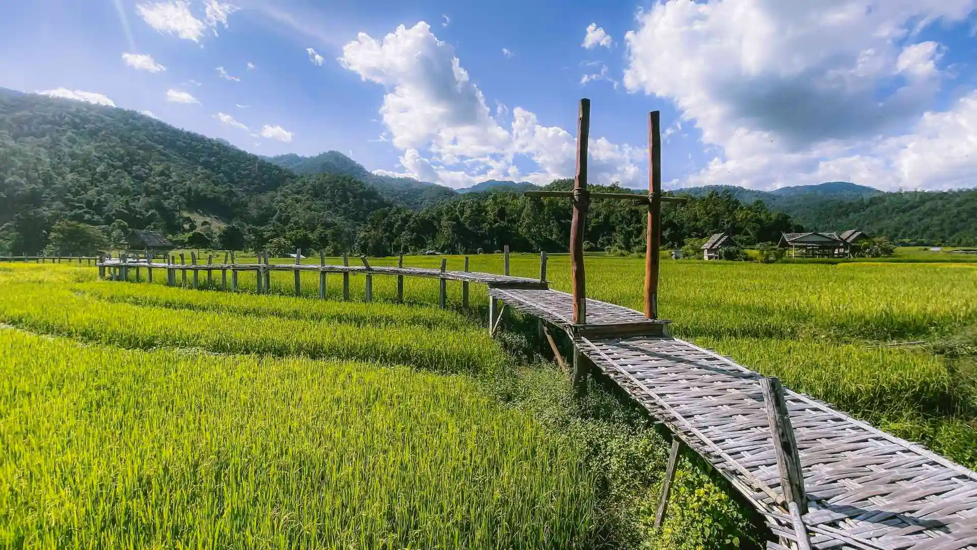 Hmong Hilltribe Chiang Mai