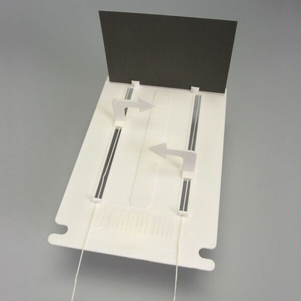 riding in thailand. Thailand practical test. Mock Test.