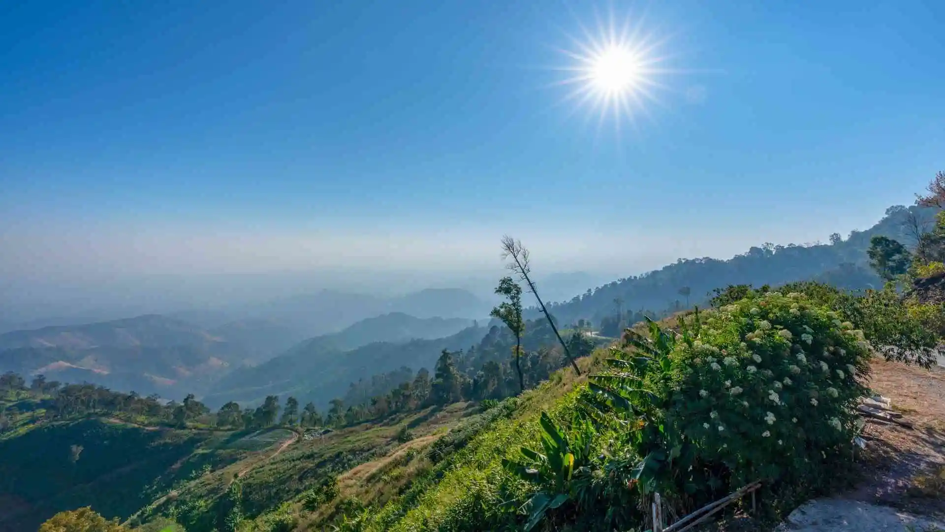 Hmong Hilltribe Chiang Mai