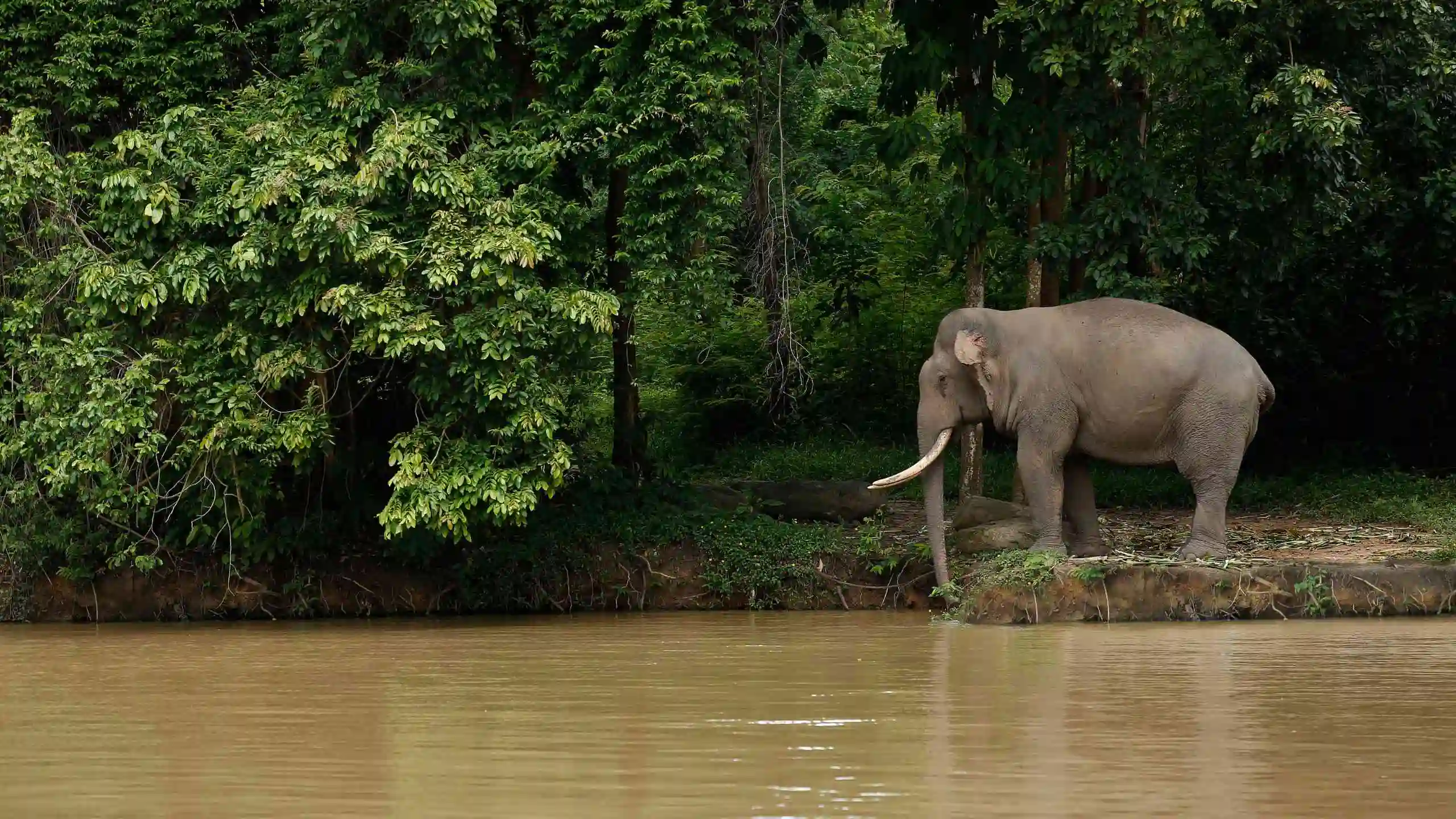 Hmong Hilltribe Chiang Mai