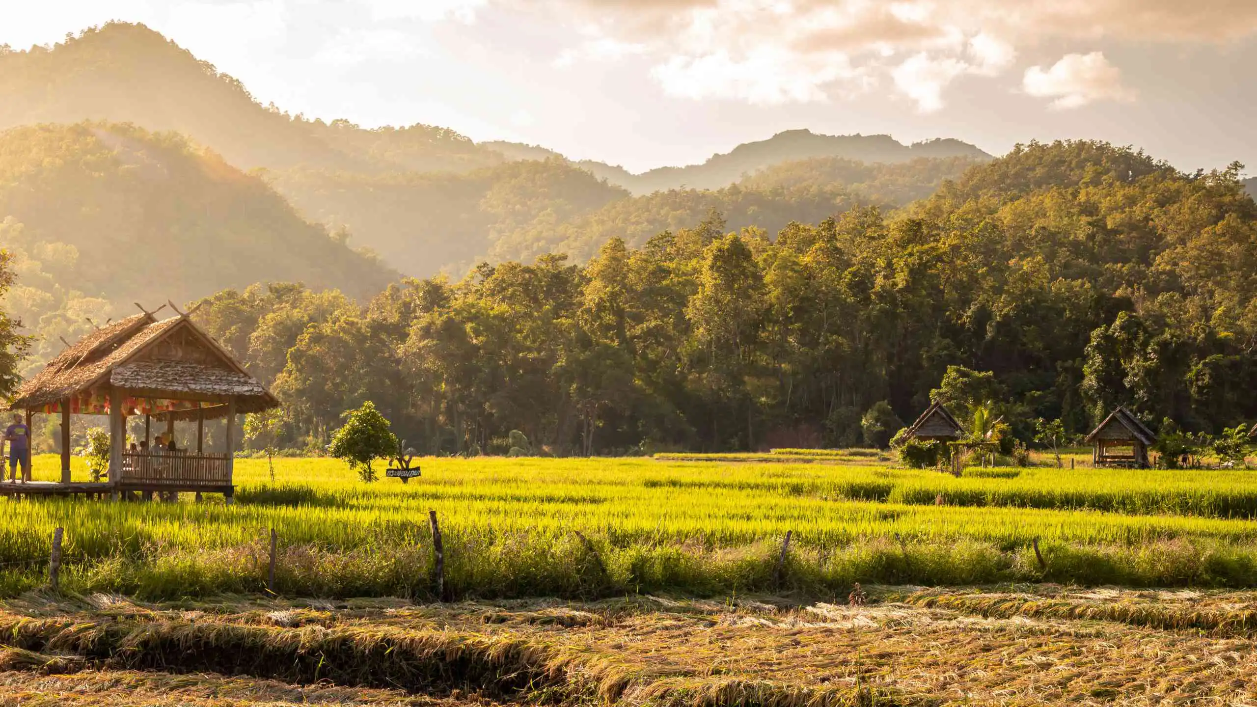 Hmong Hilltribe Chiang Mai