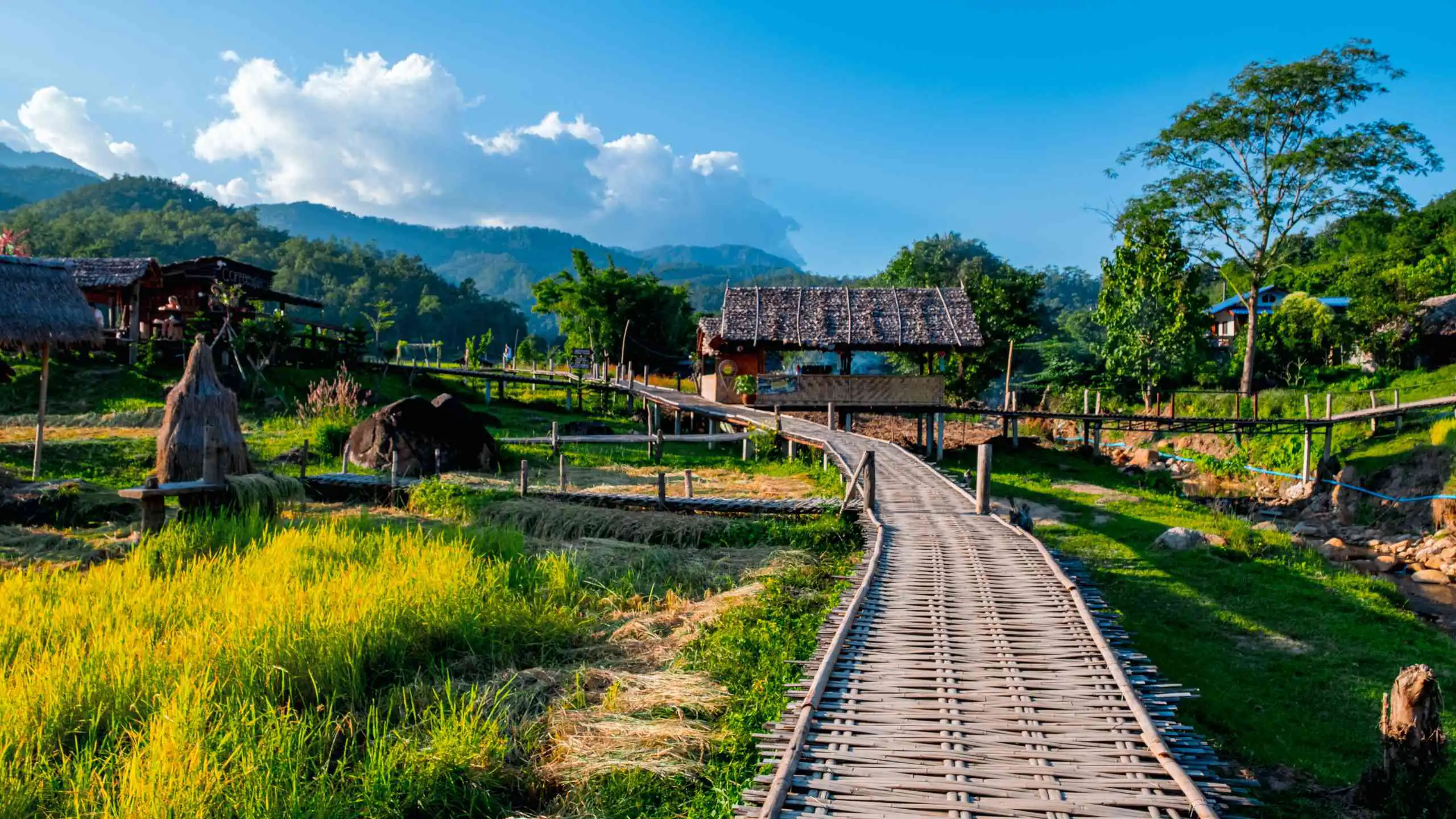 Hmong Hilltribe Chiang Mai