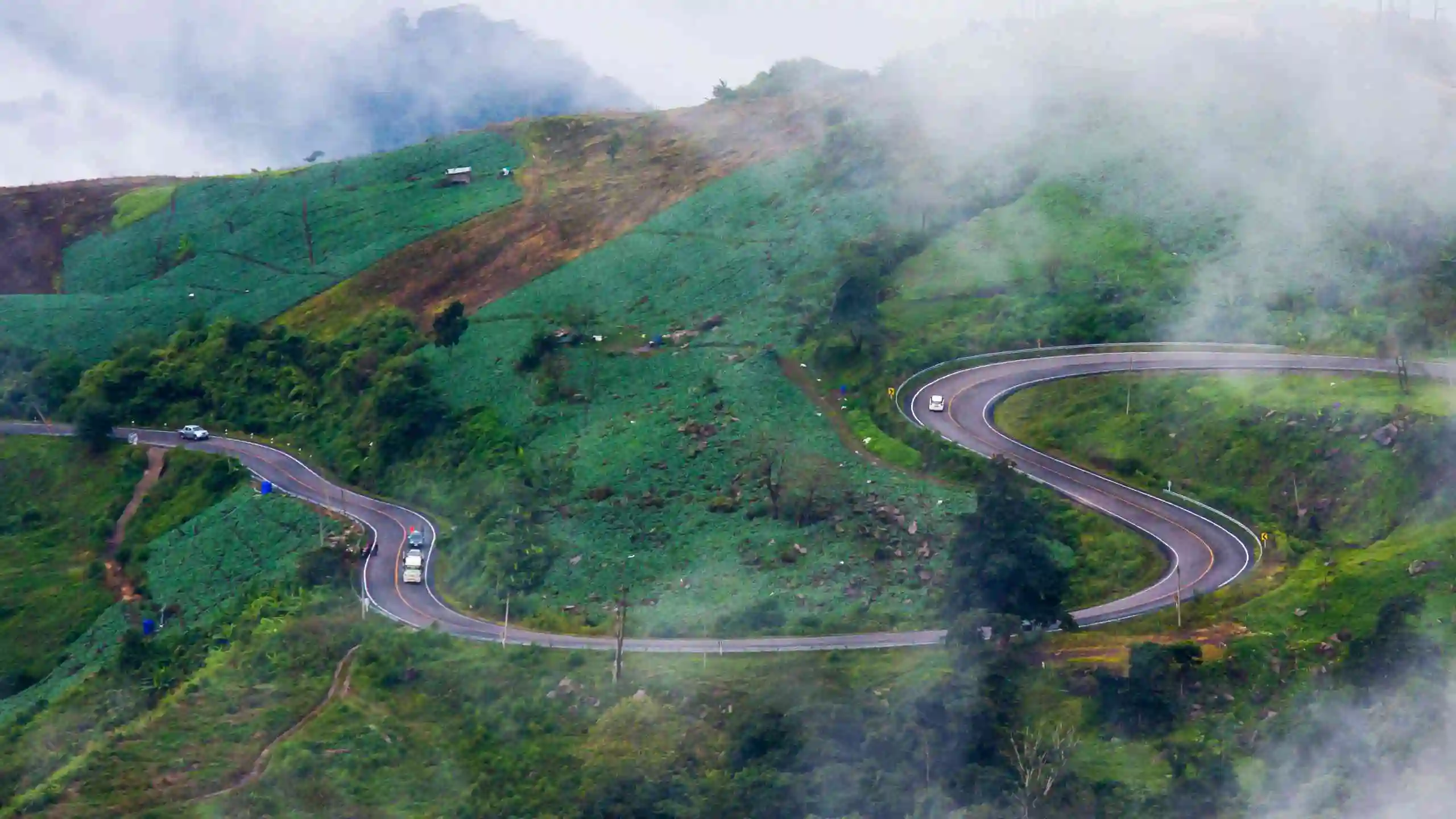 Phu Tubberk Mist