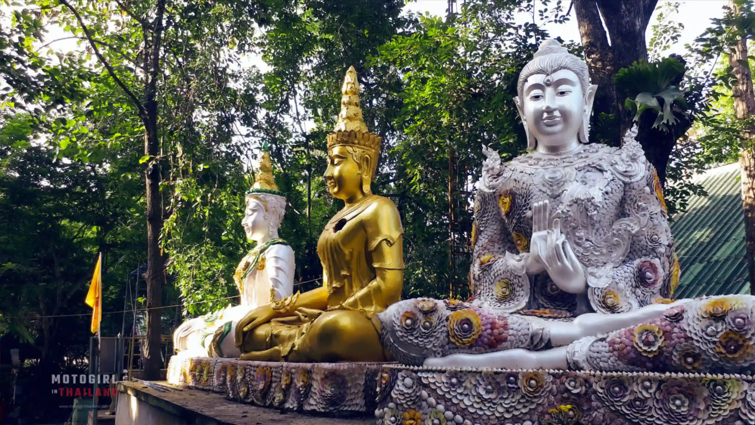 Temple in a forest with a river 