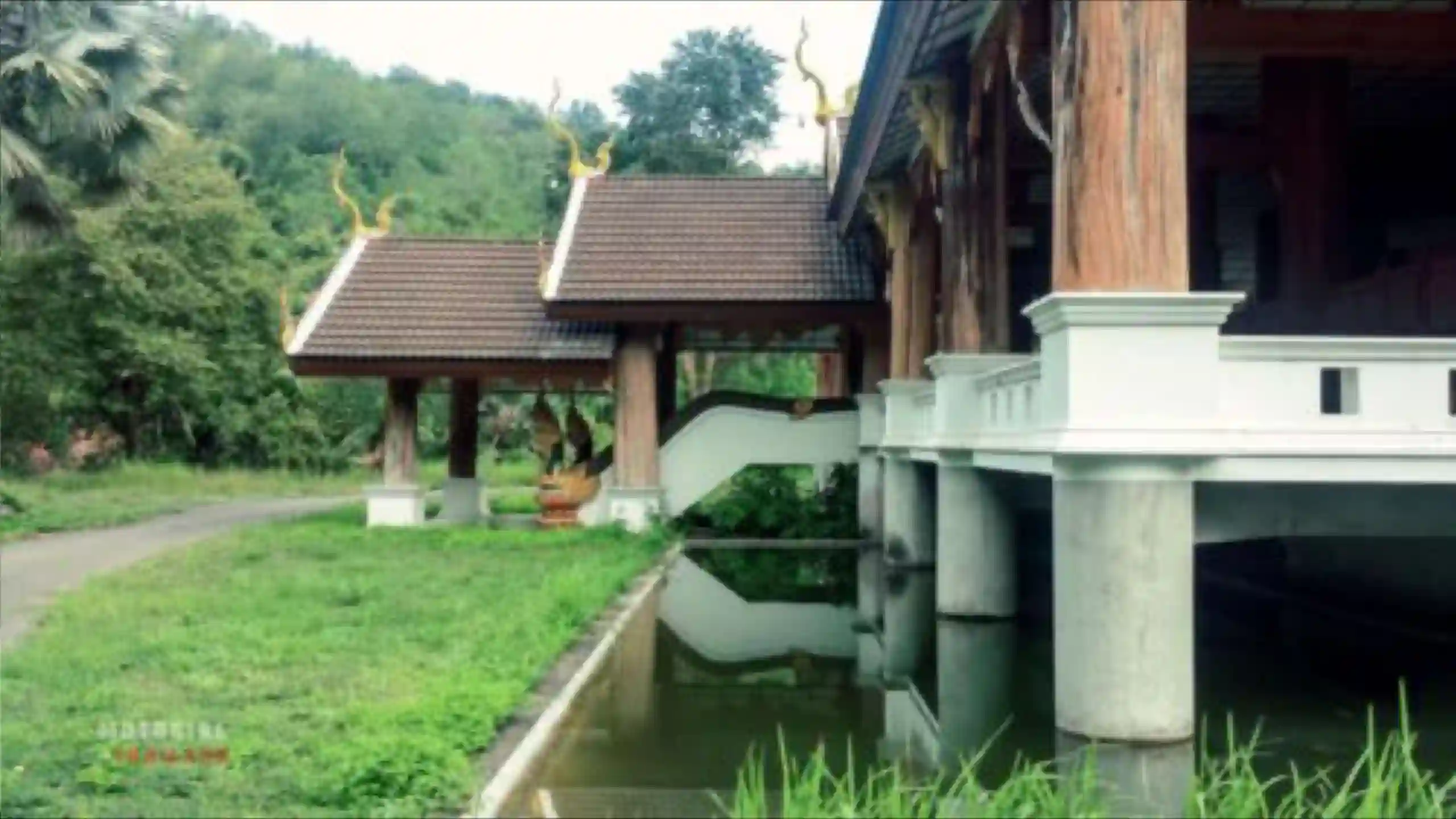 Temple in a forest with a river 
